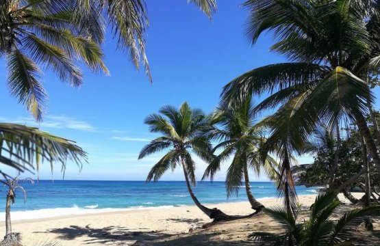 Zu verkaufen Land Meer Cabarete Costa nord Repubblica Dominicana