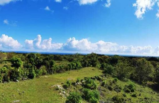 À vendre Terrain Zone tranquille Cabarete Costa nord Repubblica Dominicana